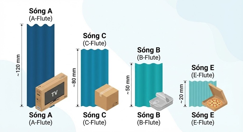 Các loại sóng giấy carton A B C E và ứng dụng Các loại sóng giấy carton A B C E và ứng dụng