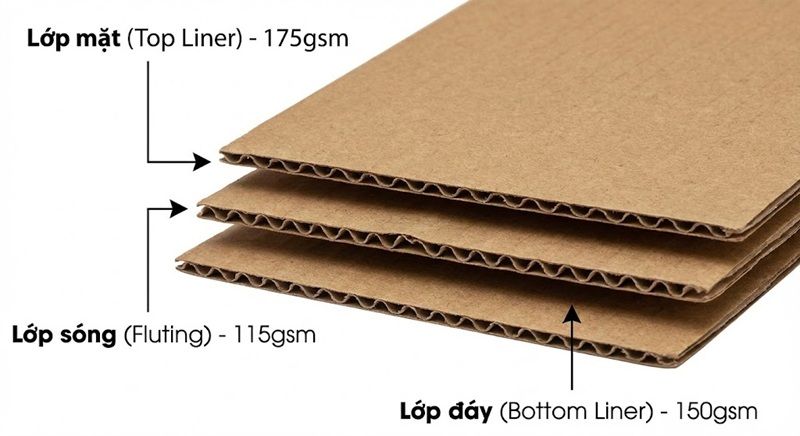 Cấu trúc định lượng giấy GSM trong sản xuất thùng carton Cấu trúc định lượng giấy GSM trong sản xuất thùng carton