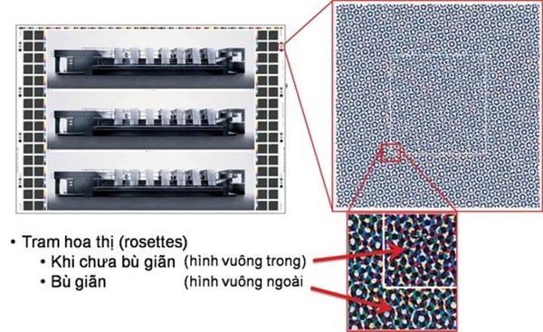 Hiện tượng giãn giấy là gì?