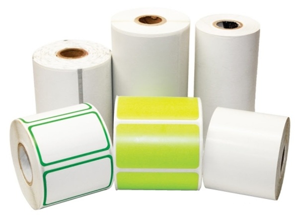 Giấy không rách, không thấm nước không đơn thuần là một bước tiến trong ngành sản xuất giấy, mà còn là biểu tượng cho sự đổi mới, thích ứng và sáng tạo không ngừng của con người trước những yêu cầu ngày càng cao của cuộc sống hiện đại. Với khả năng chống nước, chống rách, bền bỉ và linh hoạt, loại giấy này đã và đang mở ra hàng loạt ứng dụng mới, từ in ấn, giáo dục, y tế, du lịch đến công nghệ cao.