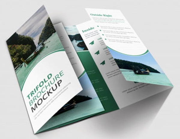 Catalogue Brochure là gì?