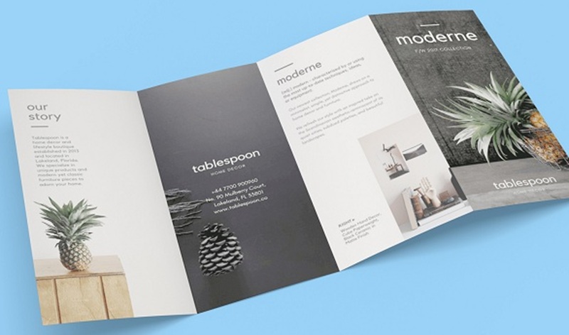 Mẫu in catalogue brochure