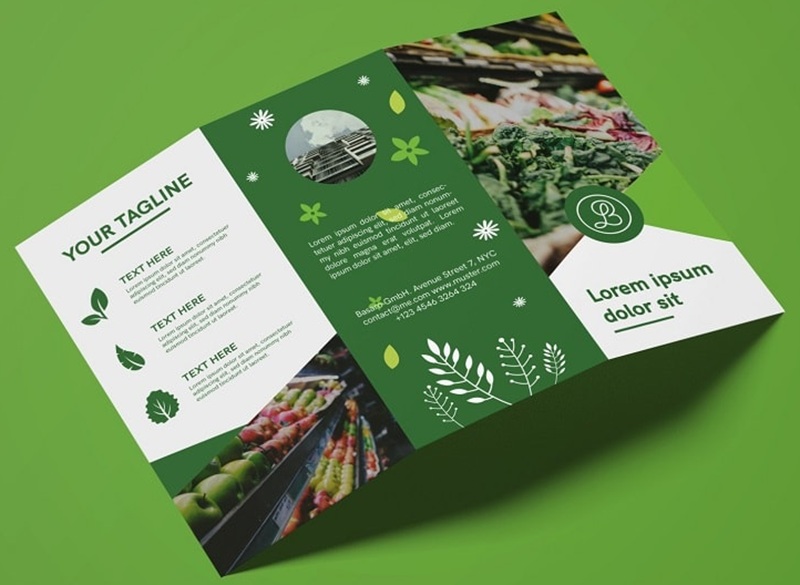 Mẫu in catalogue brochure