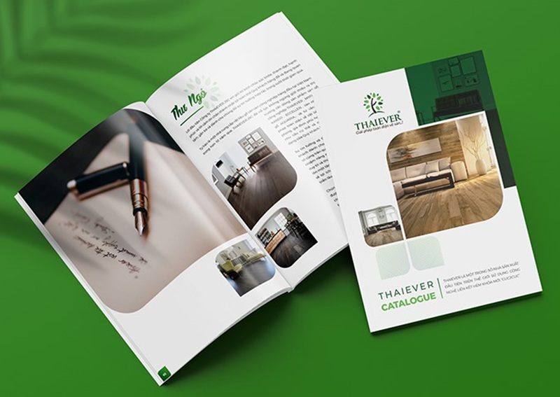Các loại giấy thường dùng để in Catalogue Brochure