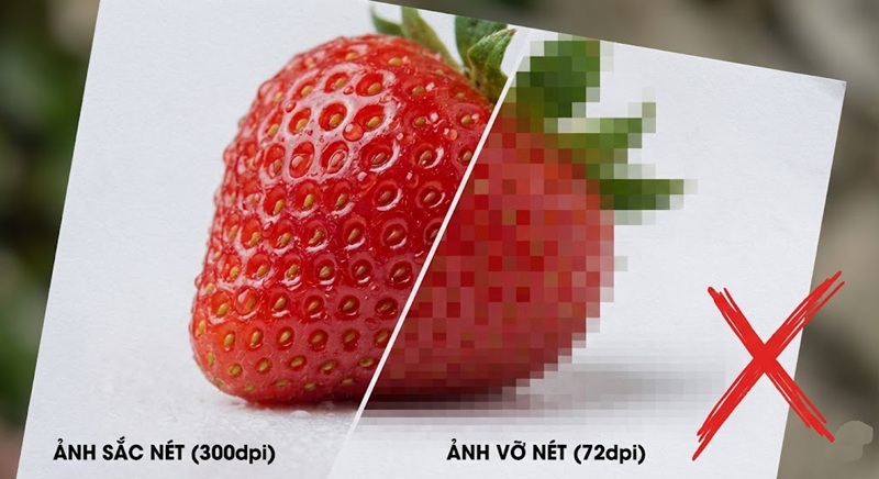 So sánh hình ảnh in ấn chất lượng cao và hình bị vỡ nét