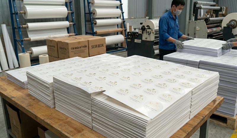 Mẫu tem nhãn in trên chất liệu decal nhựa sữa bế demi hoàn thiện