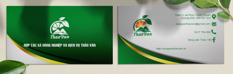 Các yếu tố cần có trên card visit