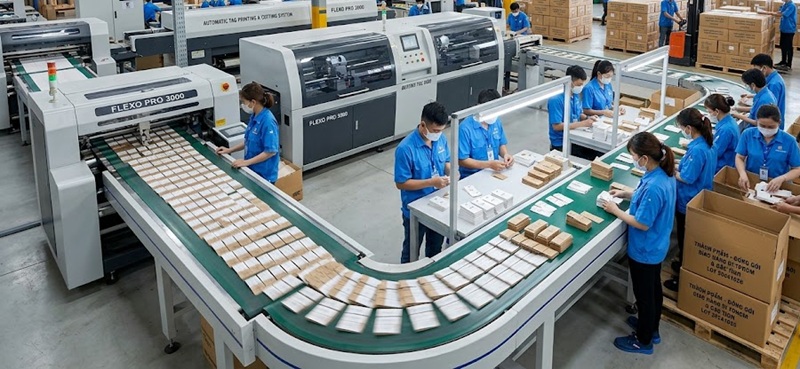 Phân xưởng sản xuất và gia công in tag giấy treo quần áo giá rẻ chất lượng tại TPHCM Phân xưởng sản xuất và gia công in tag giấy treo quần áo giá rẻ chất lượng tại TPHCM